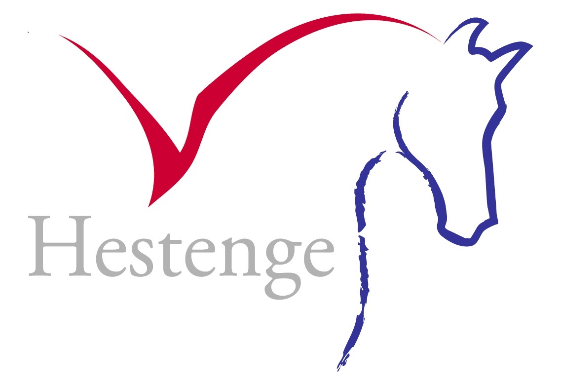 Hestenge Consult logo